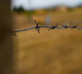 Alambre de púas